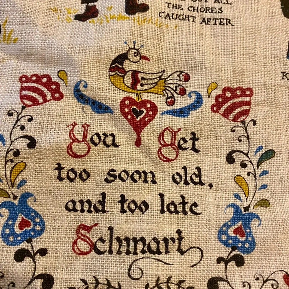 Vintage 60’s Amish Country Sampler Wall Hanging